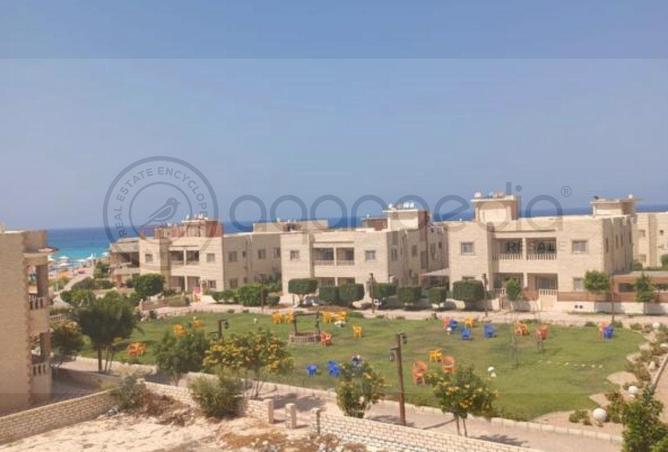 71656653 - صورة العقار 3