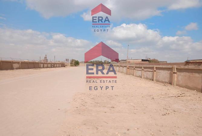 55996122 - Property Image 3