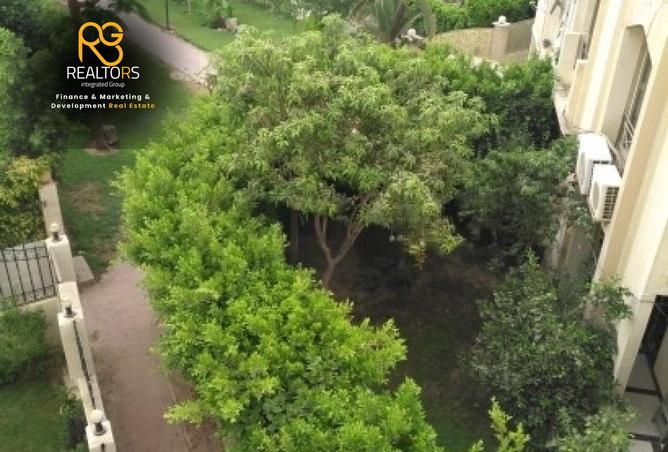 97141446 - صورة العقار 2