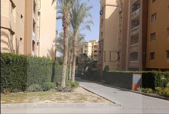 57495410 - صورة العقار 3