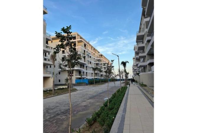 8441667 - Property Image 3