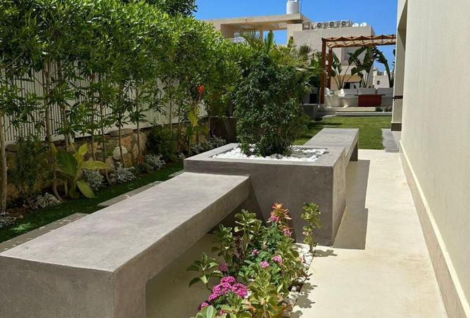 54508265 - صورة العقار 3