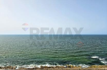 Apartment - 3 Bedrooms - 2 Bathrooms for sale in Al Geish Road - Camp Chezar - Hay Wasat - Alexandria