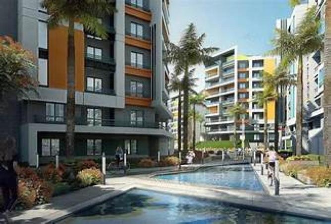 56006323 - Property Image 3