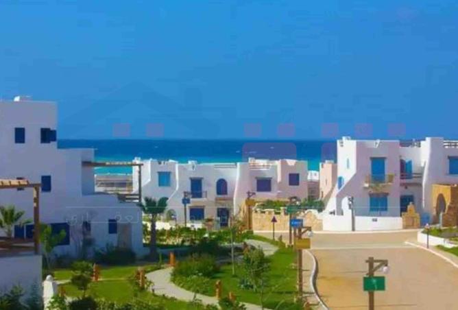 101781537 - الصورة الرئيسية للعقار