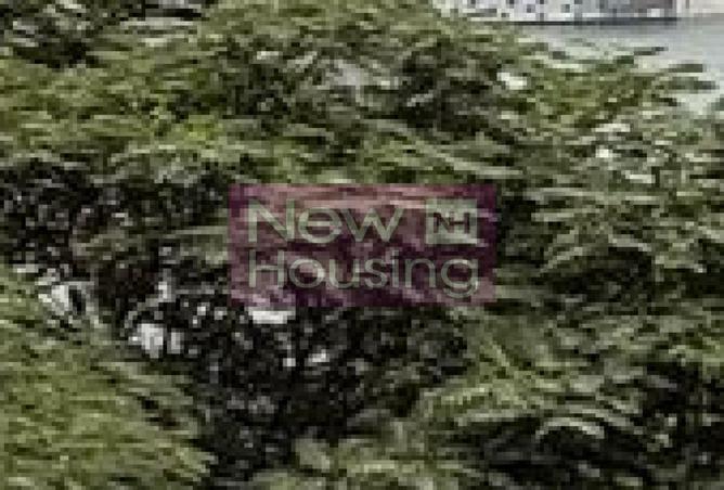 8692109 - صورة العقار 2