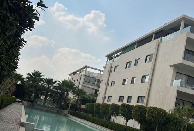 67742477 - Property Image 3