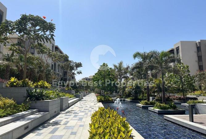 52455579 - صورة العقار 2