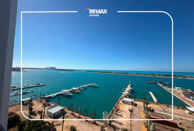 101778207 - صورة العقار 2