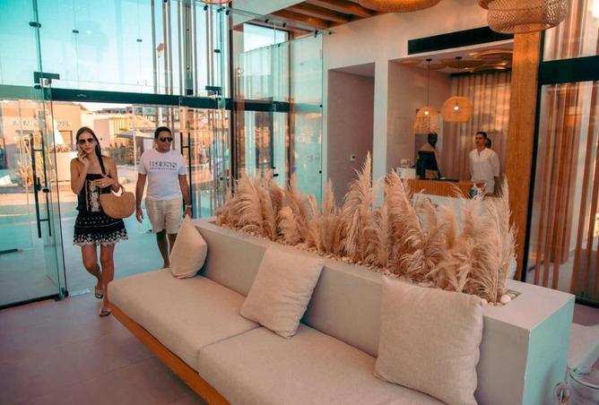 8632864 - Property Image 3