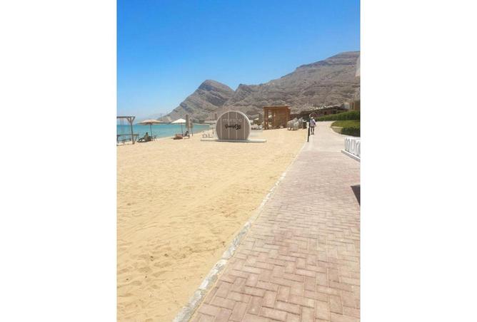 54244858 - صورة العقار 3