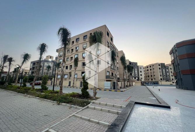 53728867 - صورة العقار 3