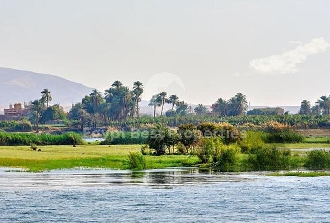 58253599 - صورة العقار 2