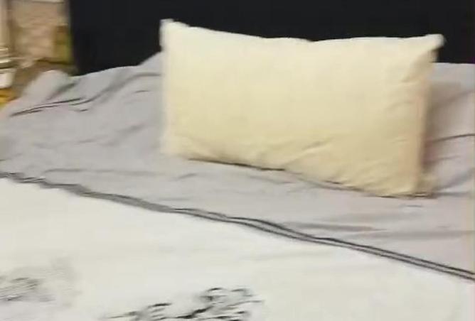 66952742 - صورة العقار 2