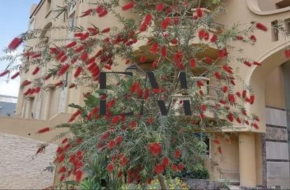Apartment - 3 Bedrooms - 2 Bathrooms for rent in Sakan - Ext North Inves Area - New Cairo City - Cairo