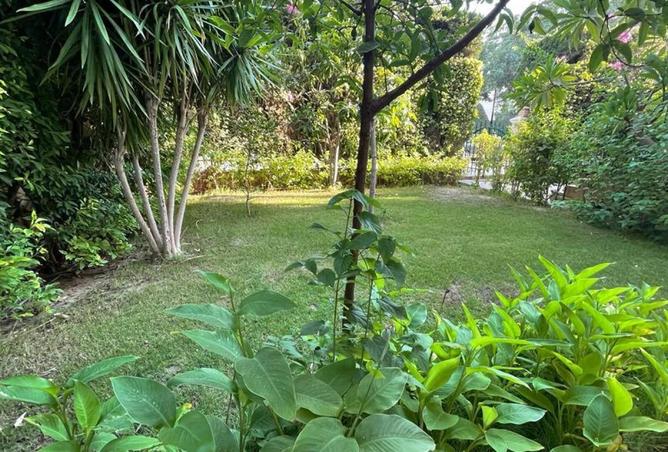 8635865 - صورة العقار 2