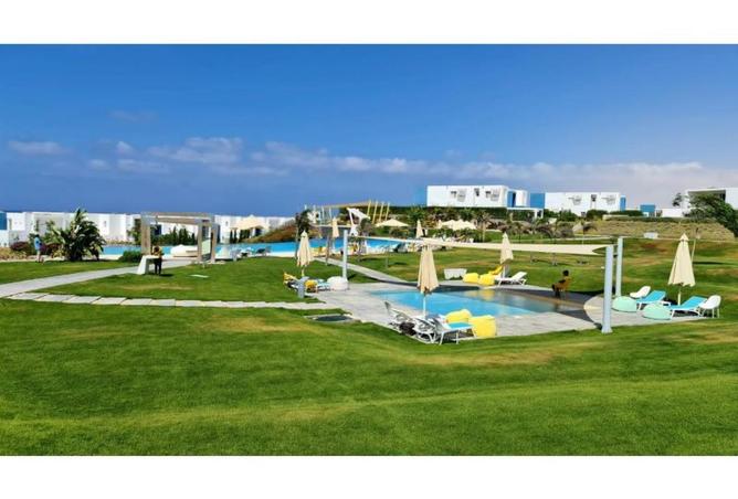 56258732 - Property Image 2