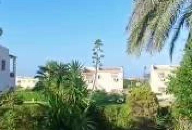 56745029 - Property Image 3