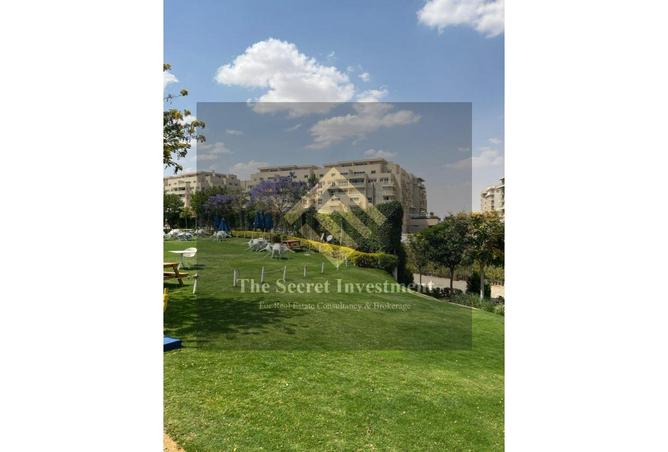 61926942 - صورة العقار 3