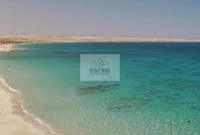 64378884 - Property Image 3