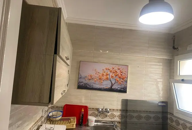 116757973 - Property Image 3