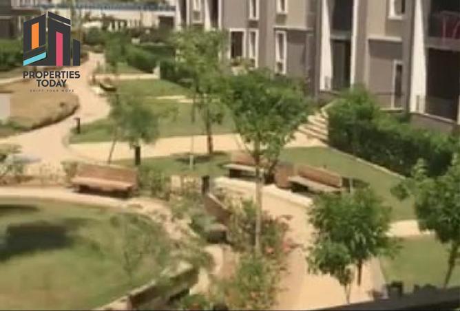 8676357 - Property Image 3