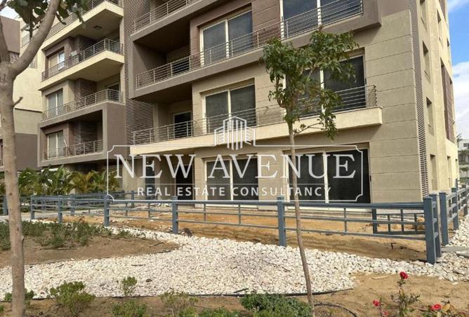 56250552 - Property Image 2