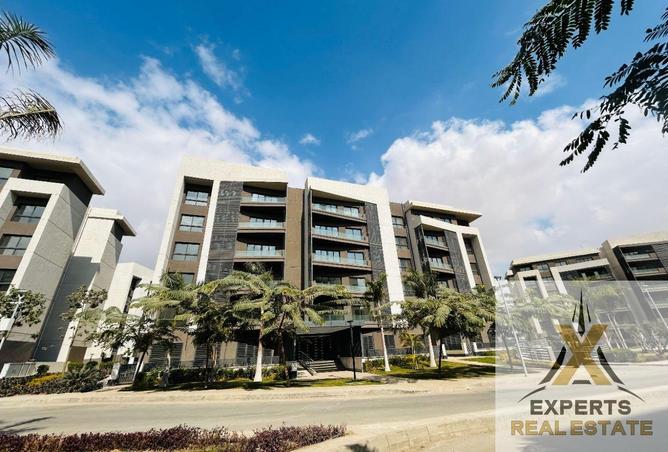 8493567 - Property Image 3