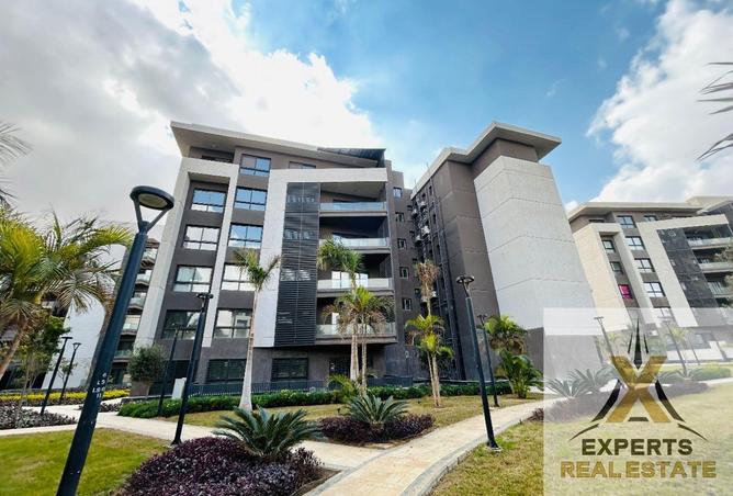 8493567 - Property Image 2