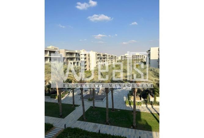 54238525 - صورة العقار 2