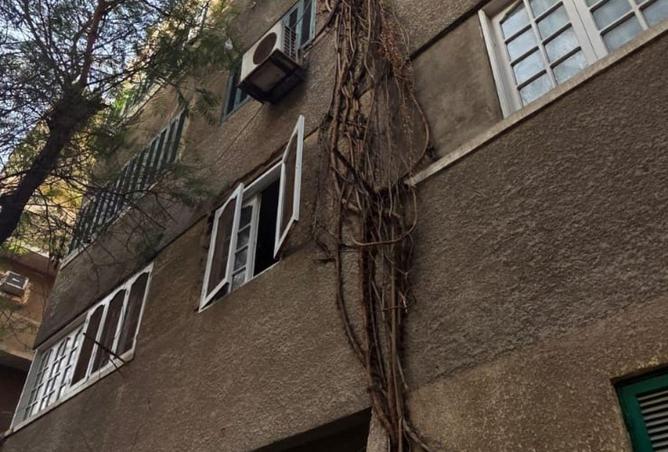 61925691 - الصورة الرئيسية للعقار