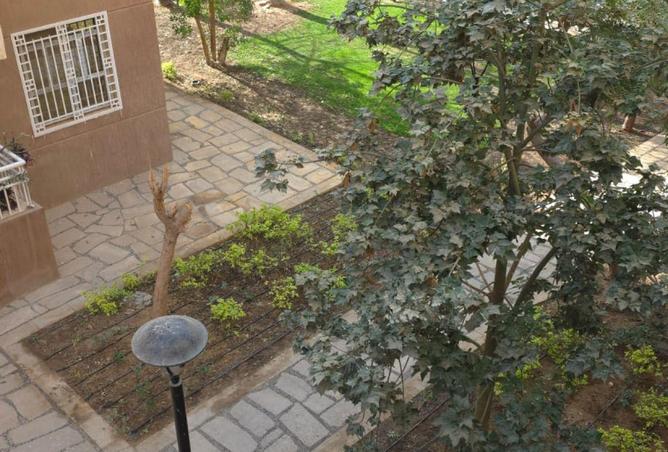 57247626 - صورة العقار 3