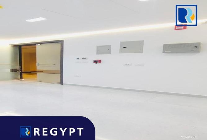 66954591 - Property Image 2