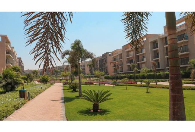 65160144 - Property Image 2