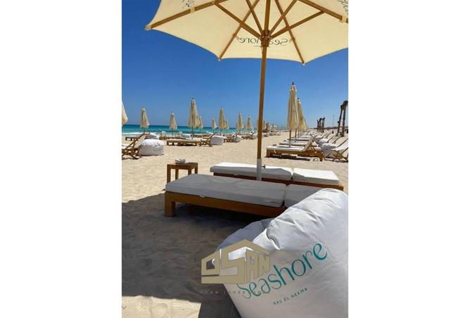 56000654 - Property Image 3