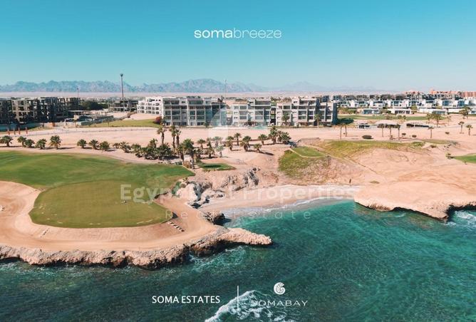 66169645 - Property Image 3