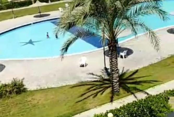 77058617 - صورة العقار 2