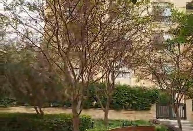 100930648 - صورة العقار 3