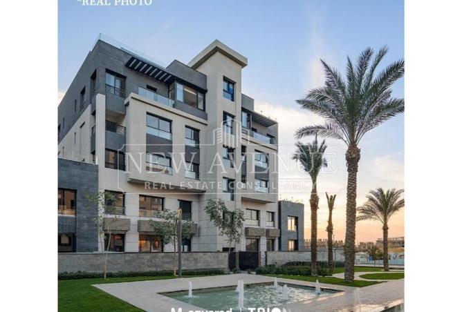 99106553 - Property Image 3