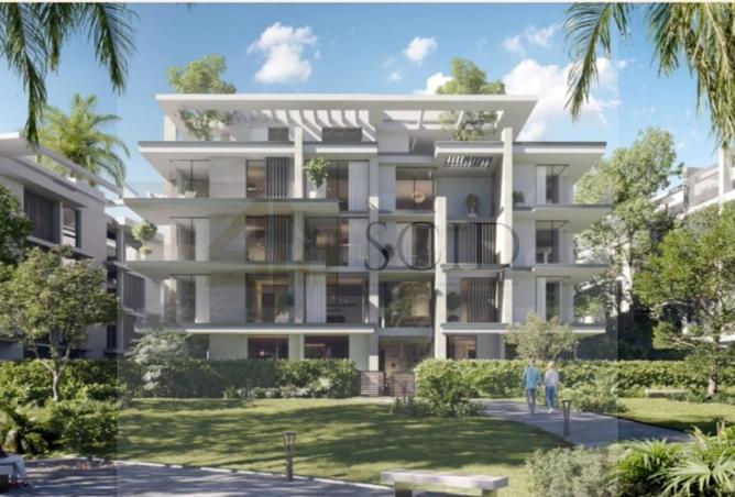 56987600 - Property Image 3