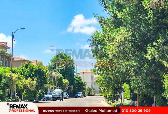 55498963 - Property Image 3