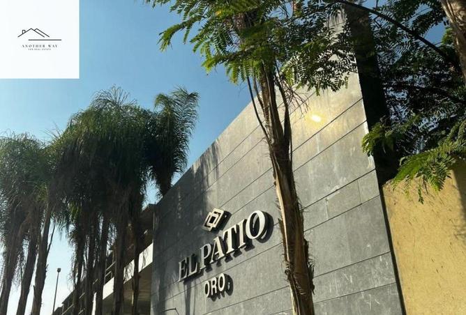 8696119 - صورة العقار 2