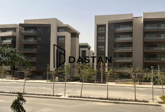 85874591 - Property Image 2