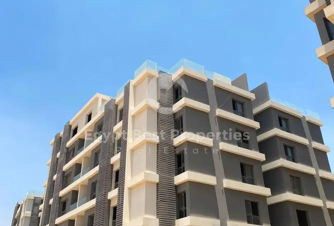 116494674 - Property Image 3