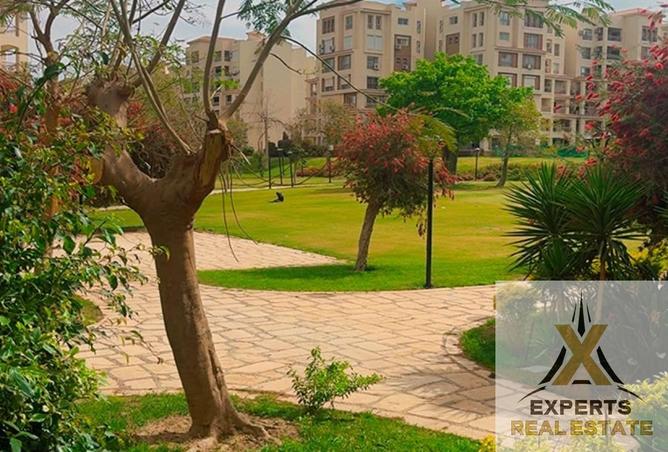 85059397 - صورة العقار 3