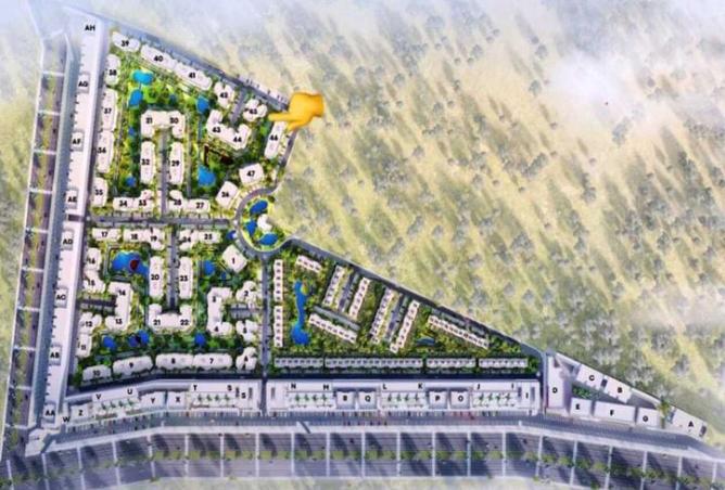 8491786 - Property Image 2