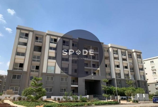 52451514 - صورة العقار 3