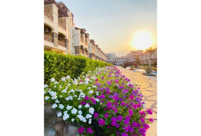 54239764 - صورة العقار 3