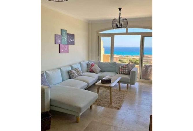 54239764 - صورة العقار 2