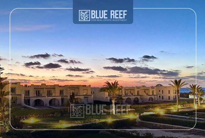 66702875 - صورة العقار 2